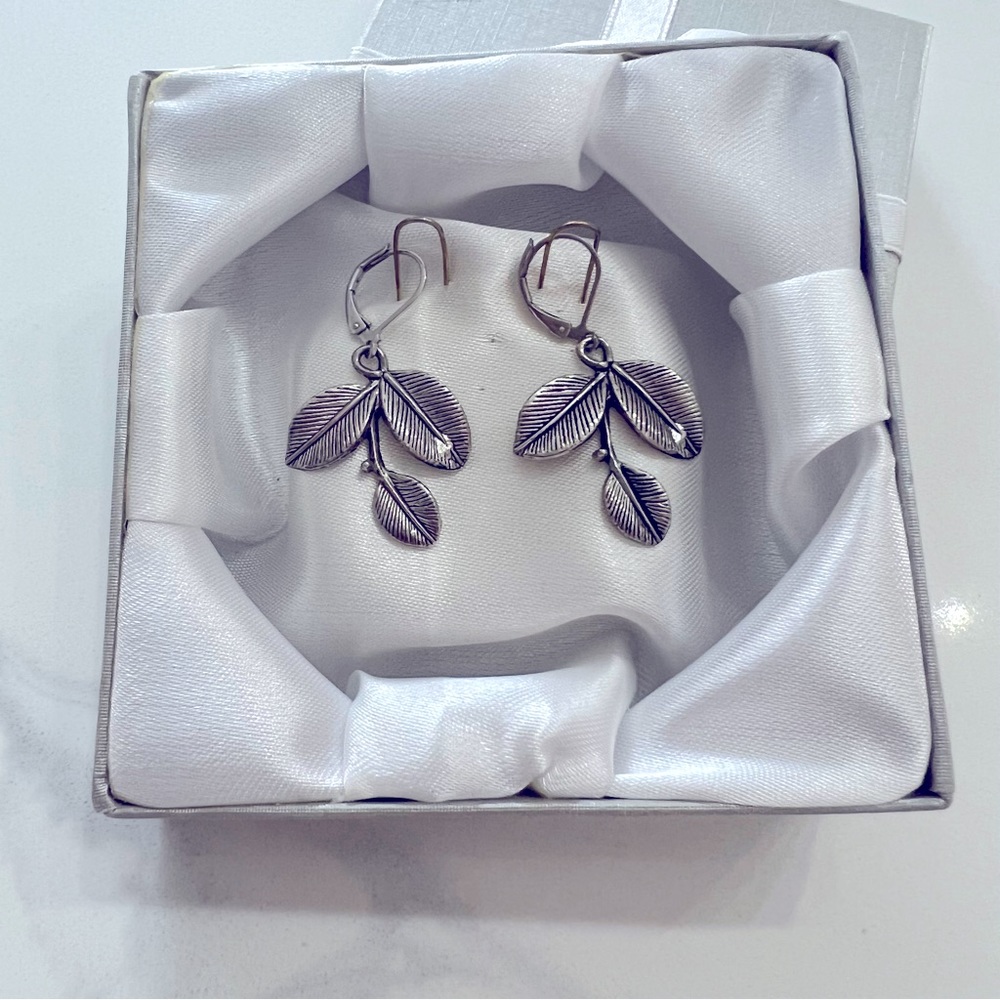 NWOT New silver earrings